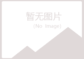 河曲县冰蓝化学有限公司